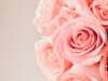 The Best Wedding Ideas